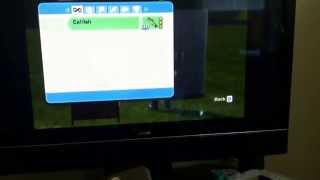 Epic cheat for sims 3 wii gives unlimited money