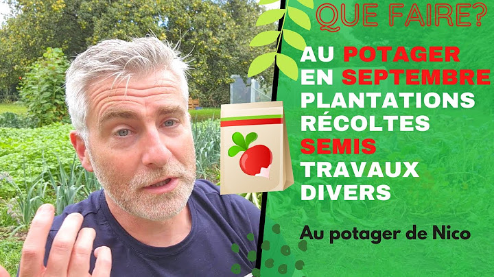 Ce que je fais en septembre 🍂 - Les derniers semis, grosses récoltes de tomates...