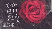 蜻蛉日記 うつろひたる菊 朗読 原文 現代語訳 Youtube 蜻蛉日記 うつろひたる菊 朗読 原文 現代語訳 Youtube