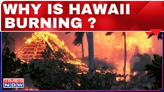 Hawaii Wildfires Live : How Did The Maui Fire Start And What We Know About The Lahaina Blaze?