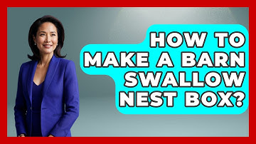 How To Make A Barn Swallow Nest Box? - Bird Watching Diaries