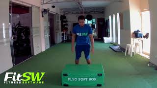 Box Jump: Legs, Plyometrics, Quad Exercise Demo How-to screenshot 5