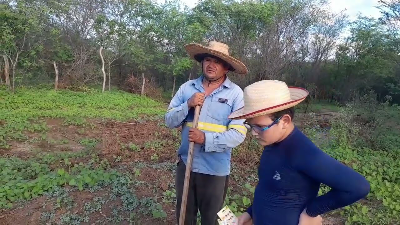 Plantando jerimum e melancia na vagem 