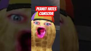 PEANUT HATES CAMSODA | RUST @TheBurntPeanut