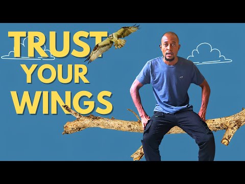 'How to Soar