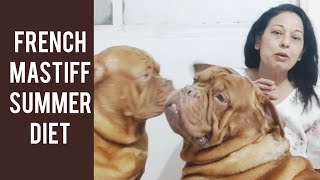 French mastiff,summer diet plan by Anupma Pandey 550 views 2 years ago 6 minutes, 36 seconds