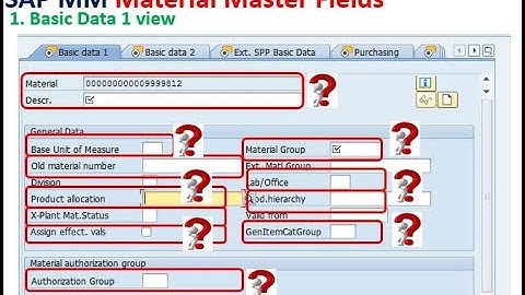 ( Basic Data 1 View ) SAP S/4 HANA MM Material Master Detailed Explanation
