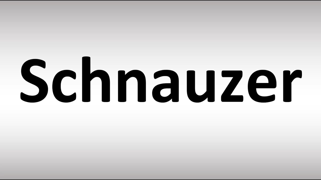 How To Pronounce Schnauzer