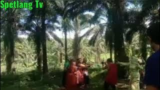 CARA PEMBIKINAN FLM MISTERI TITISAN SANG RATU EPISODE 37.FEMAIN ARTIS:MARYATI,ACEK,HENA,YUSRI,HERI