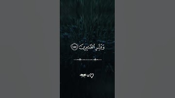 TikTok:homs19953 #قرآن #اكسبلور #تلاوة_خاشعة #راحة_نفسية