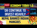 DIIs Continue to Invest Heavily, Nepal Banned Indian Mangoes