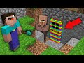 Minecraft NOOB vs PRO: WHY VILLAGER HIDE STRANGE RAINBOW DOOR UNDER HOUSE? Challenge 100% trolling