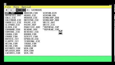 Oracle VirtualBox-Windows 1.01 Startup-Glitch