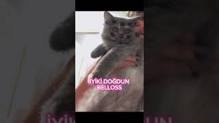 Ğumgününkutluolsunbelloss Şfet Şfet Şfetbeniöneçıkar Şfetol