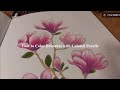 How To Color Branches with Colored Pencils in Adult Coloring Book | Asmr Pencil Coloring No Talking