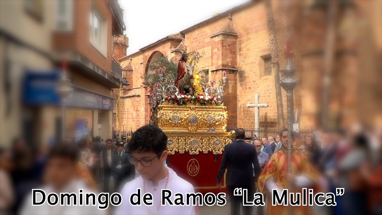 Semana Santa 2025. Bailén. Domingo de Ramos Mañana - 