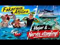 Snorkla med HAJARNA &rarr; DRAMATIK i passet!