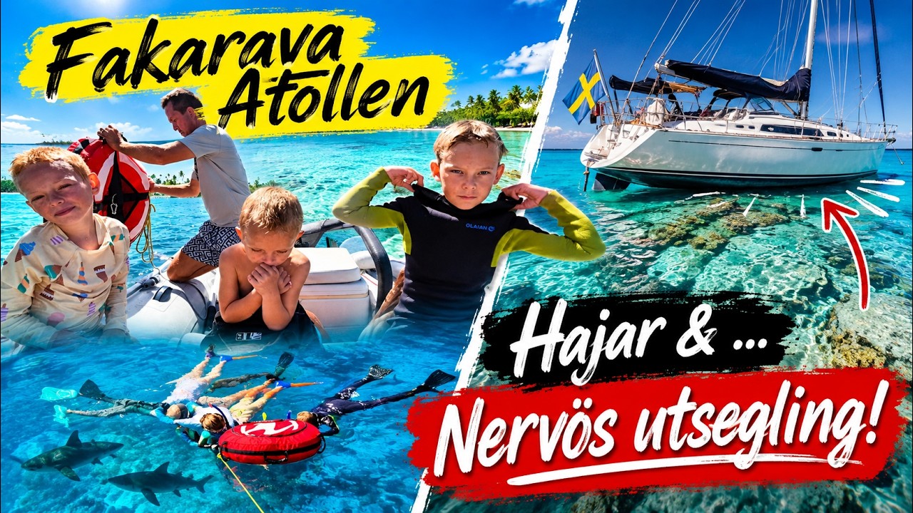 ⁣Snorkla med HAJARNA → DRAMATIK i passet!