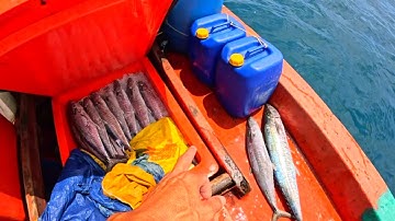 Câu cá thu | trúng đậm cá thu | hoàng Phú quốc