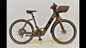 Village Bicycle Rental