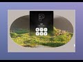 First Poly Demo