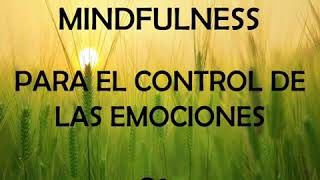 Mindfulness para el control de las emociones 🙏💞