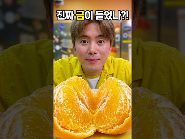 금이 들어간 귤? 진짜 안에 금이 있나 없나 먹어보자 ㅋㅋㅋ