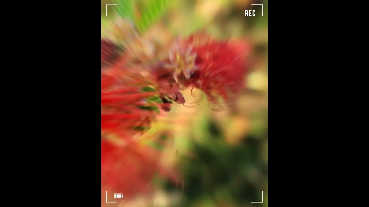 Self-Employed we have mortgage loan programs 