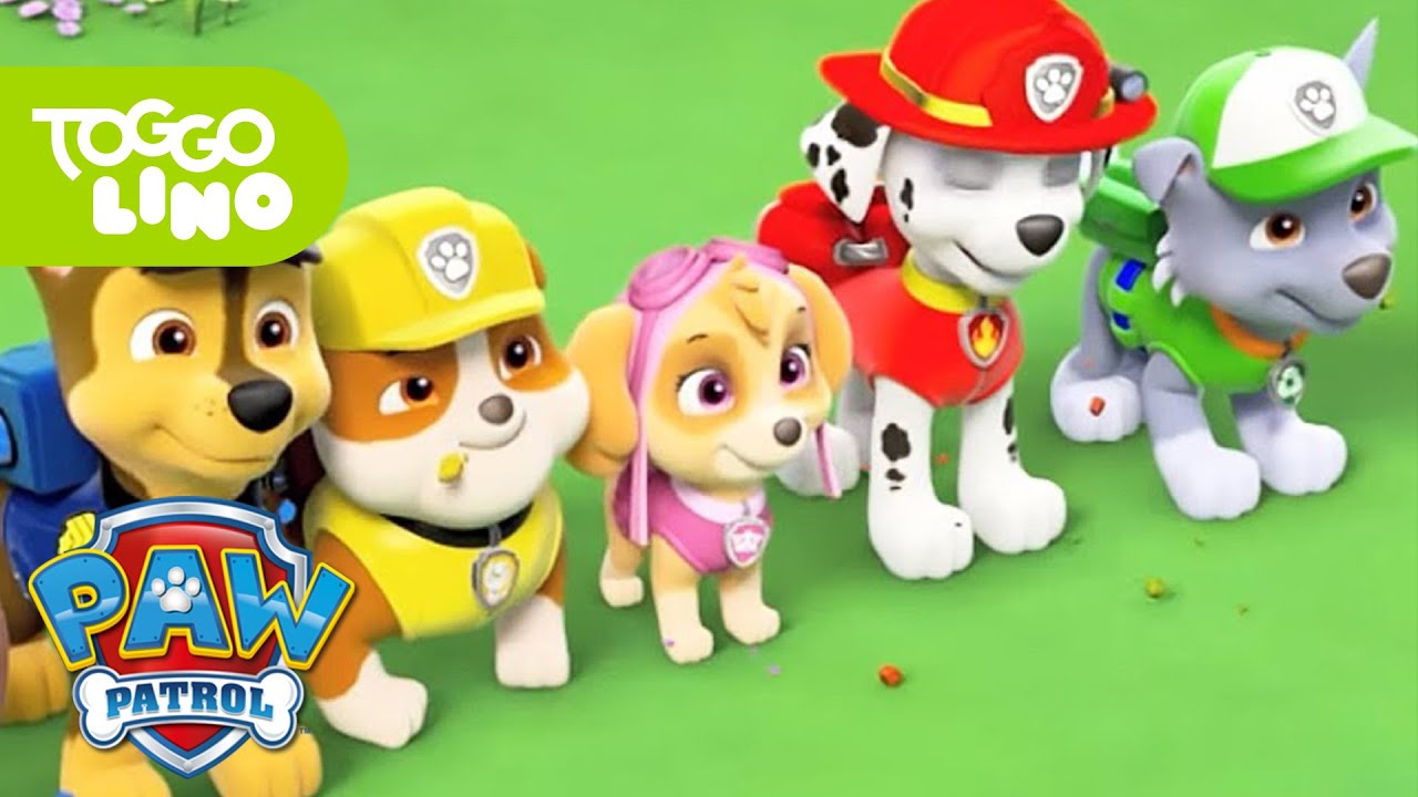 Paw Patrol Helfer Auf Vier Pfoten Querdurchdenalltag Com