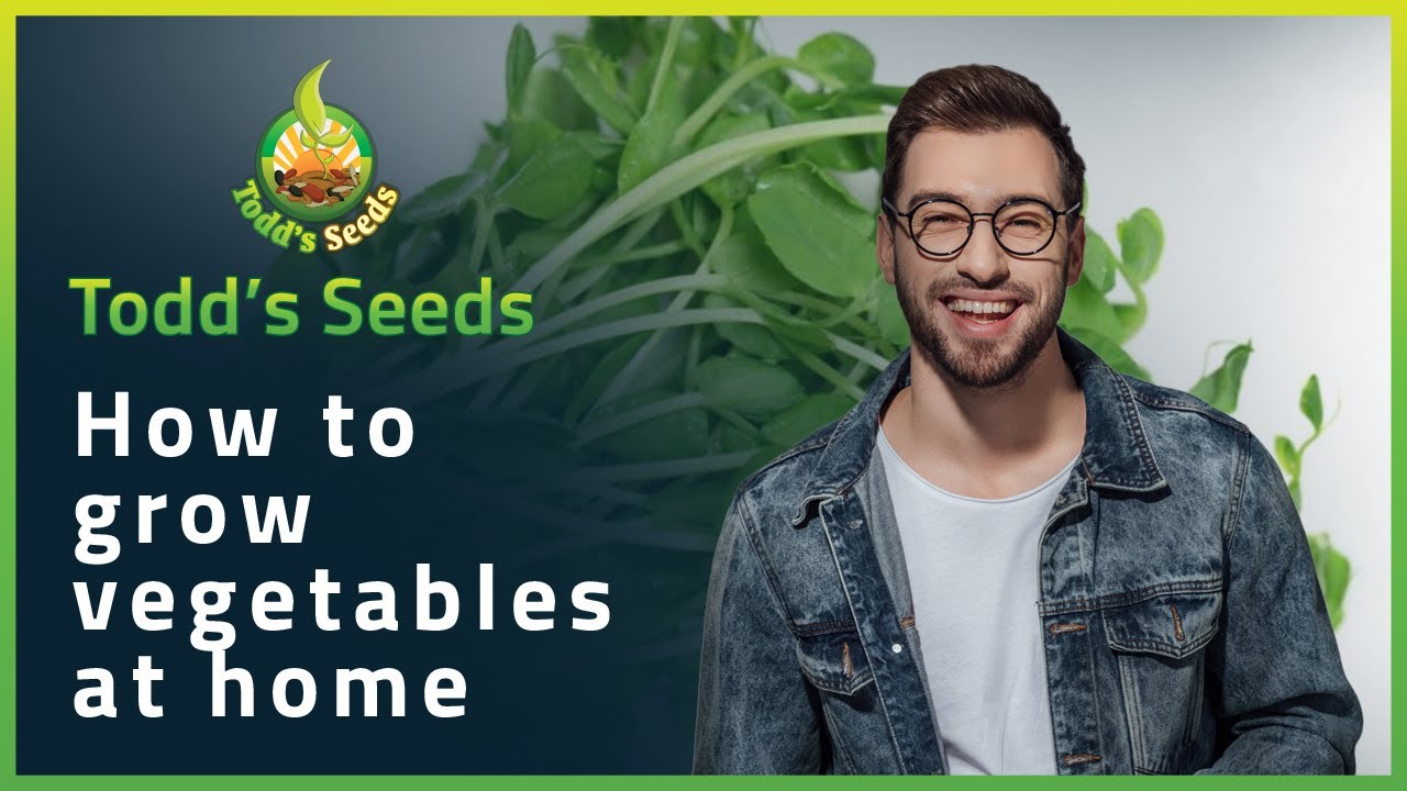 How to Grow Vegetables at Home - YouTube
