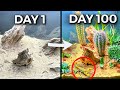 Simulating a desert for 100 days