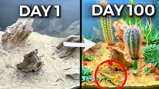 Simulating a Desert for 100 Days by Dr. Plants 34,913,841 views 1 year ago 8 minutes, 48 seconds