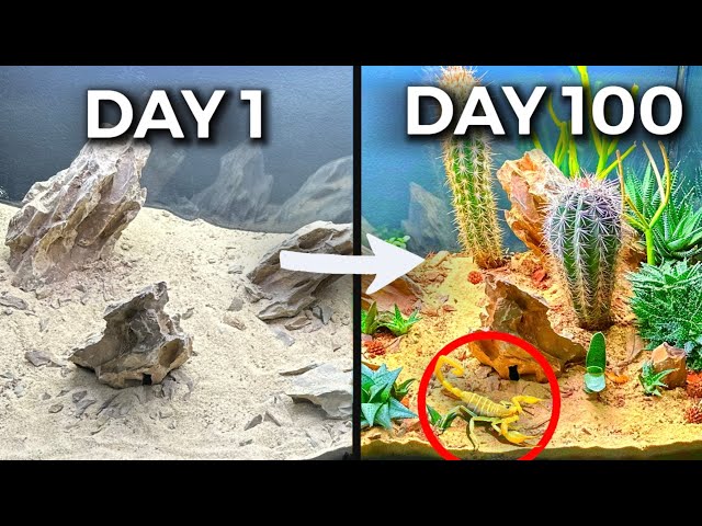 Simulating a Desert for 100 Days class=