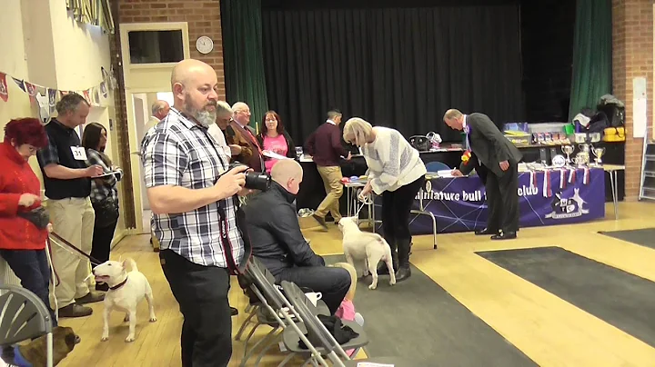 Limit Dog MBTC March 2016 Judge Gary Newberry UKUSA