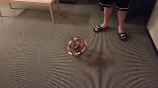 Ball Car (BB-8's Brother) Test 1