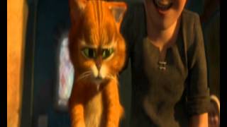 La Jeunesse Du Chat Potté