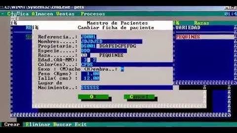 Sistema de Veterinaria