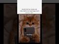couple video 😅 #misssrelatable#memes#tweetreels#aesthetic #lofichill#lofimusic#sad#aestheticstatus