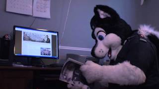 Furnal Equinox 2013 - Meet the Fuzz