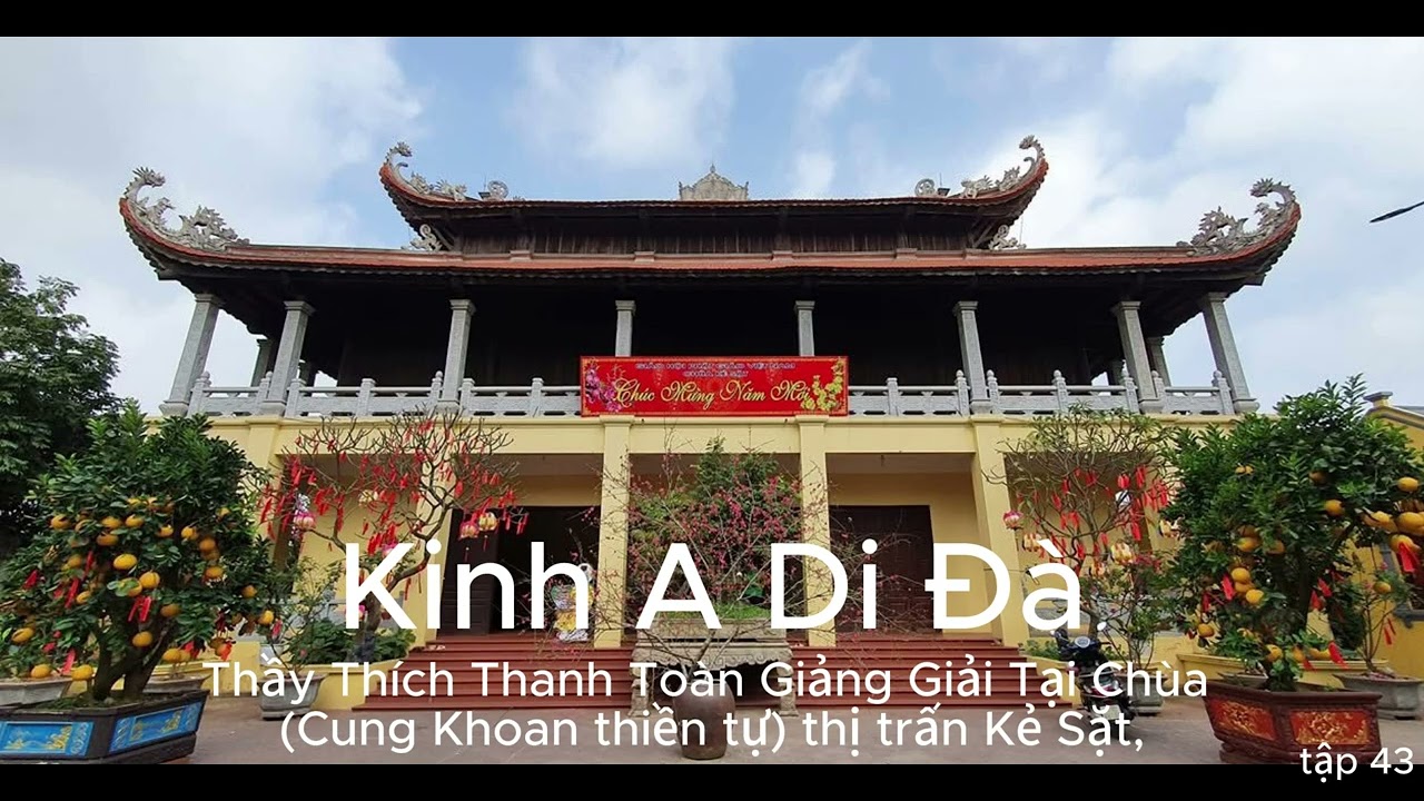 Kinh A- Di  -Đà thầy Thích  Thanh Toàn giảng giải -tap 43