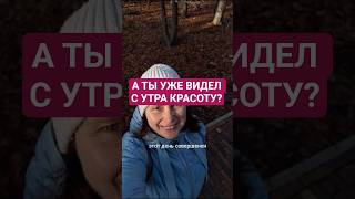 Моя Пауза Вдохновения