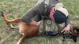 K9 Medical Module 