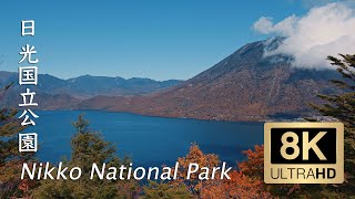 Nikko National Park in Autumn - 日光国立公園 - 8K Ultra HD