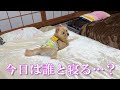 【検証】家族で一番誰が好きなのか検証してみました！