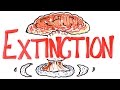 The 6 Craziest Extinctions Ever