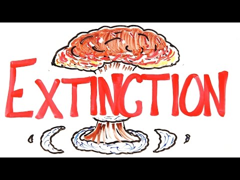 Video: Planet X Has Been Implicated In Mass Extinctions On Earth - Alternative View