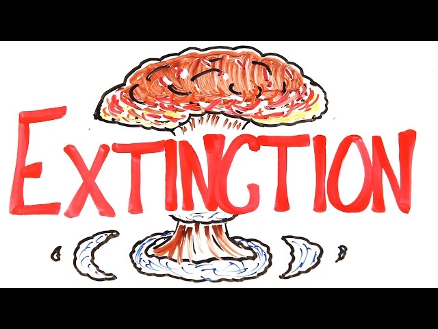 The 6 Craziest Extinctions Ever