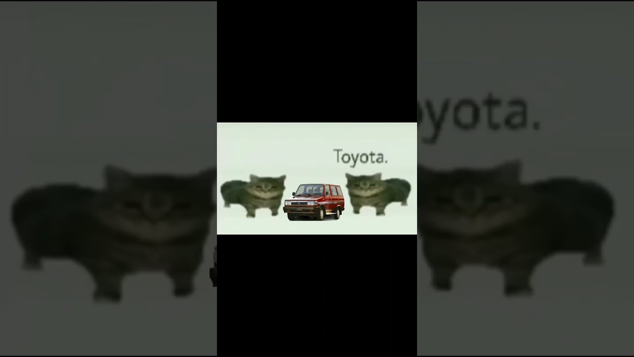 This Is A TOYOTA Cat Memes Shorts