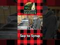 You Won’t Believe How Much Sap Makes New Hampshire Maple Syrup #shorts
