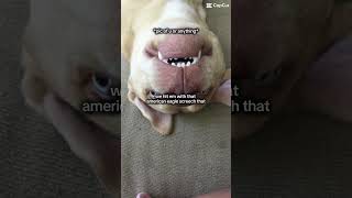 IMG 0276